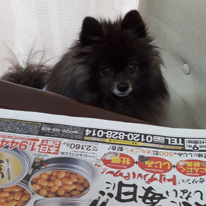 F1702af8 4707 4d24 acc6 d2779e83ddc8 1519173921226