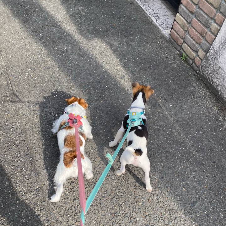 F1704e5d 4a27 4c8a 95ee 2731dc2a4322 1748300213989