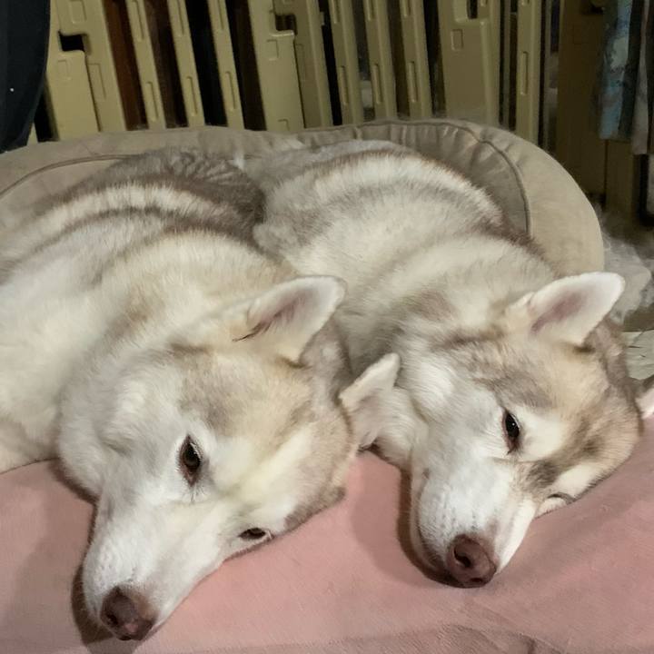 F1705b13 a62d 480b b83d a6cc6004aba3 1696172870656