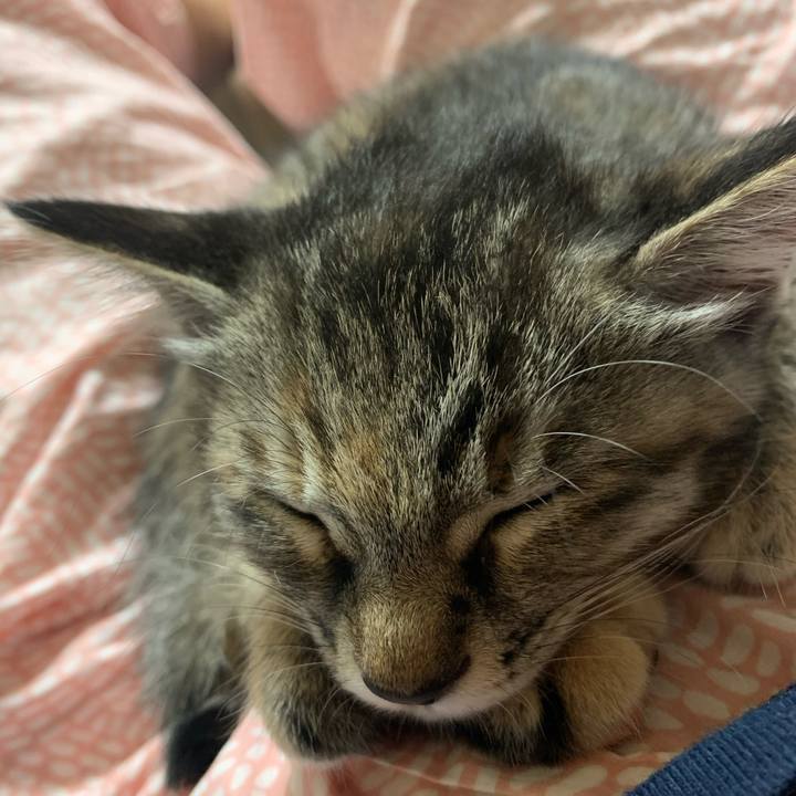 F1708e12 0fa7 414b 9b65 ff6c50ed6faf 1591541702618