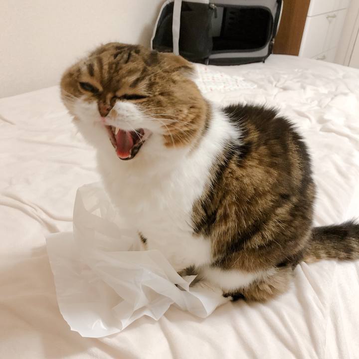 F170a5f1 827e 425f a829 8c7c632a077e 1594394195390