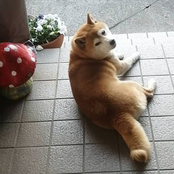 F170e17a c7a0 4cb9 8db7 fcce34d3c7fd 1588844283191