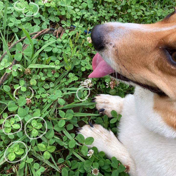 F170f105 a367 4f80 a543 e64eaa2815d3 1655944223328