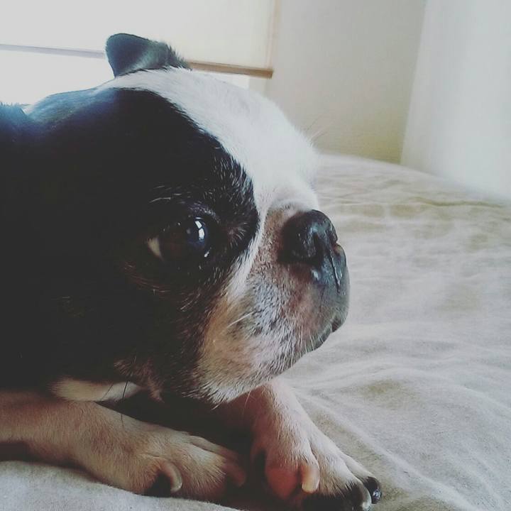 F170fd8d 64a6 4fdd 8e11 f22581a5db14 1536559658265