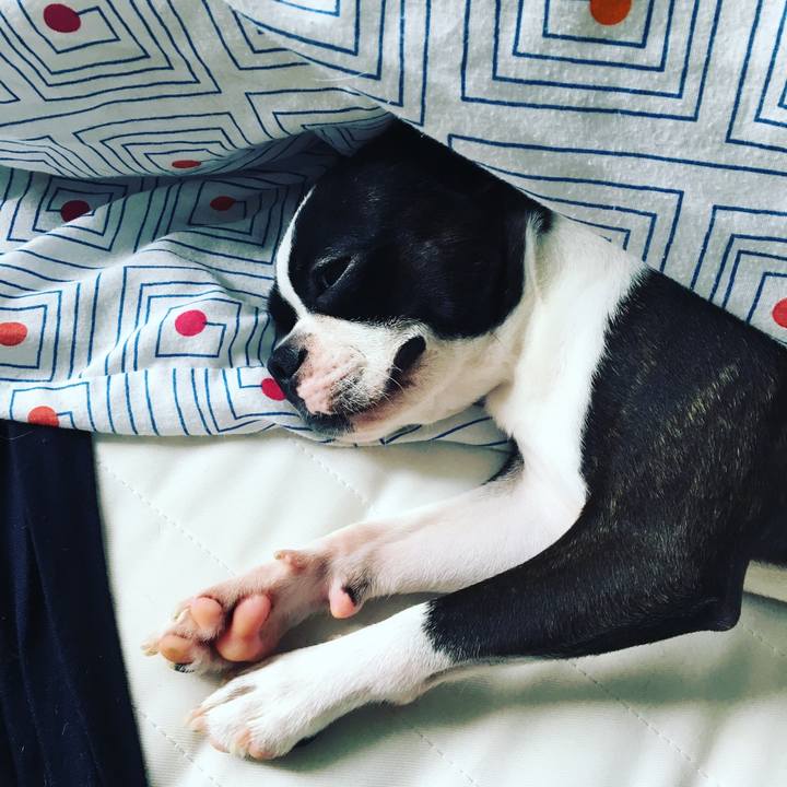 F1711632 af66 4a66 8500 58f6a9b98817 1531622316850