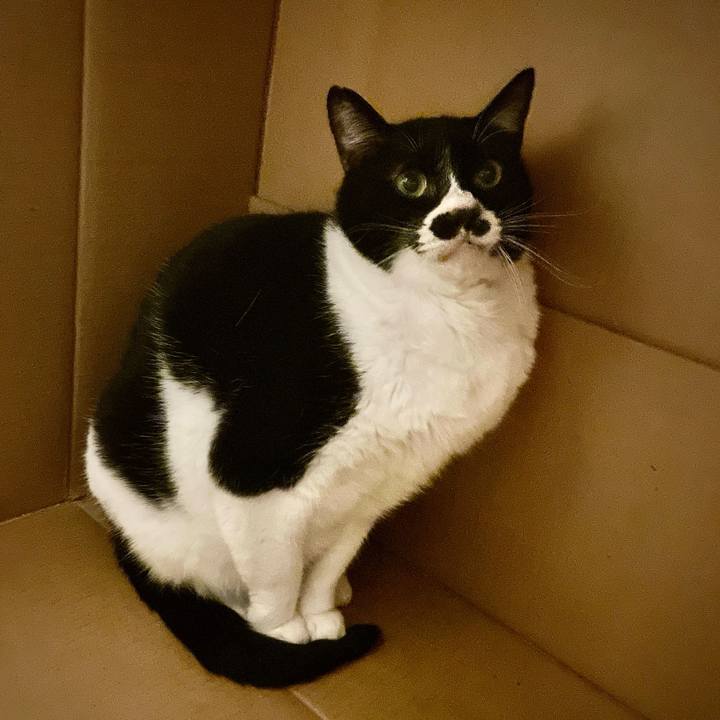 F1716437 9de0 4587 841e b79a6aaae7a6 1710893943961