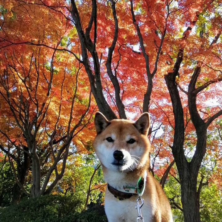 F1717715 5dc8 4b38 bb88 3aadfba5aaf5 1638232914935