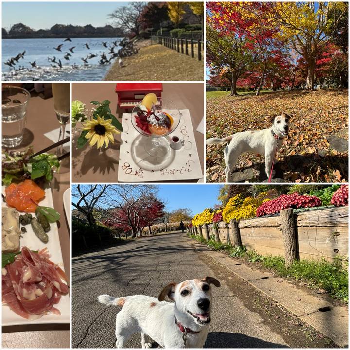 F1719769 2627 4211 8aed c912d95fbbae 1764242463232