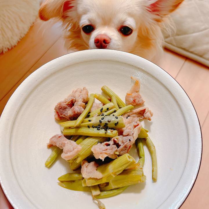 F1719ee7 3f05 4607 807b b6dc127598a4 1649655404923