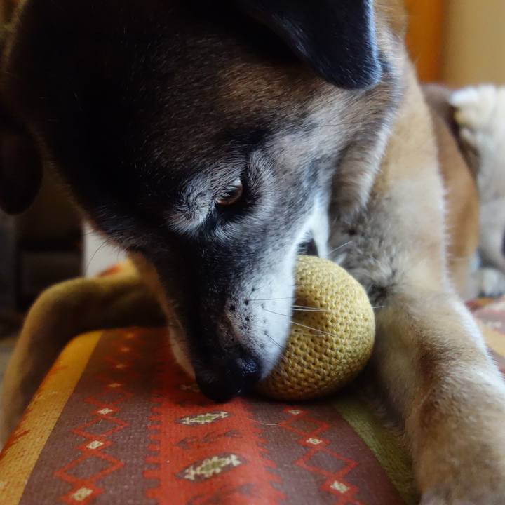 F171ccd8 e485 41f9 a3a7 9aac37a193a8 1636768544074