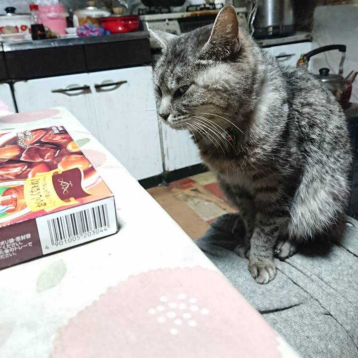 F171d28e 9d50 404f ad12 7a1be9b6192b 1579464430817