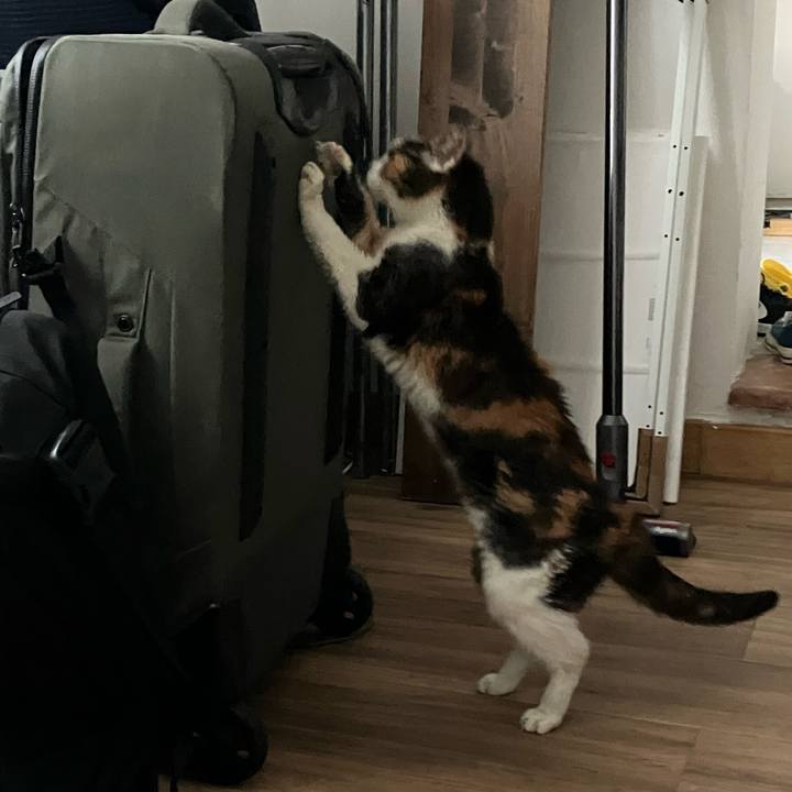 F171eedf bcd2 423a 9b0c 399e41cefea1 1758811882884