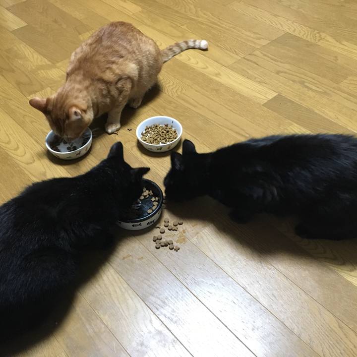 F172133b b00e 4f16 9fb0 ba7d360000a7 1535538356584