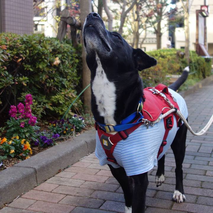 F17238e9 028c 4422 a873 3b18d311223e 1671932017516