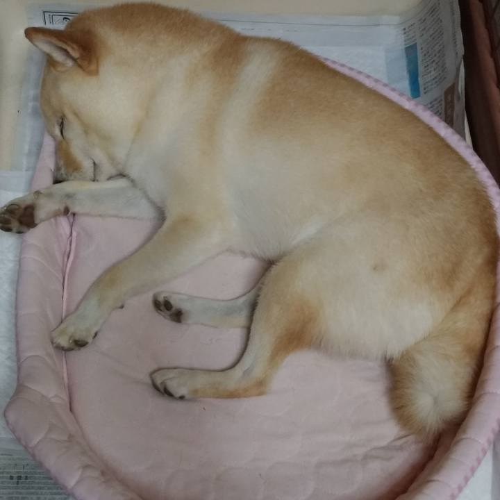 F1723907 14b0 44fe 95ca 426753d4cc65 1599653875521