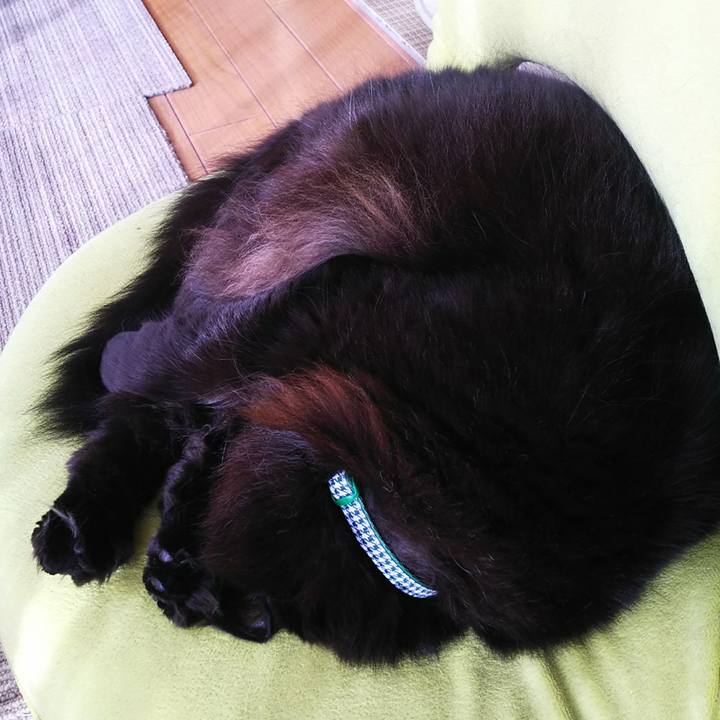 F1724b0c 07d2 4dde bb09 8b6395b039f6 1547687107497