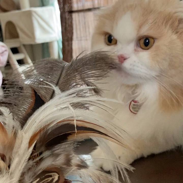 F1726331 33dd 44b3 980f 6ca70940d5da 1650725293007