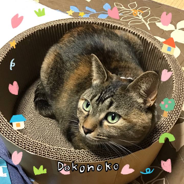 F172719a a800 4102 ad18 e37d51cdbcf8 1741512758935