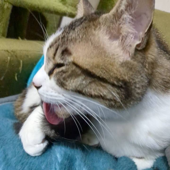 F172f8f6 2939 4295 a9df 211325b1dfdd 1710203911110