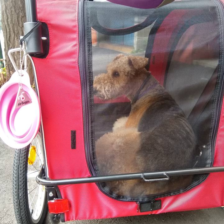 F172f960 832c 45dc b553 15686af96e57 1595592153777