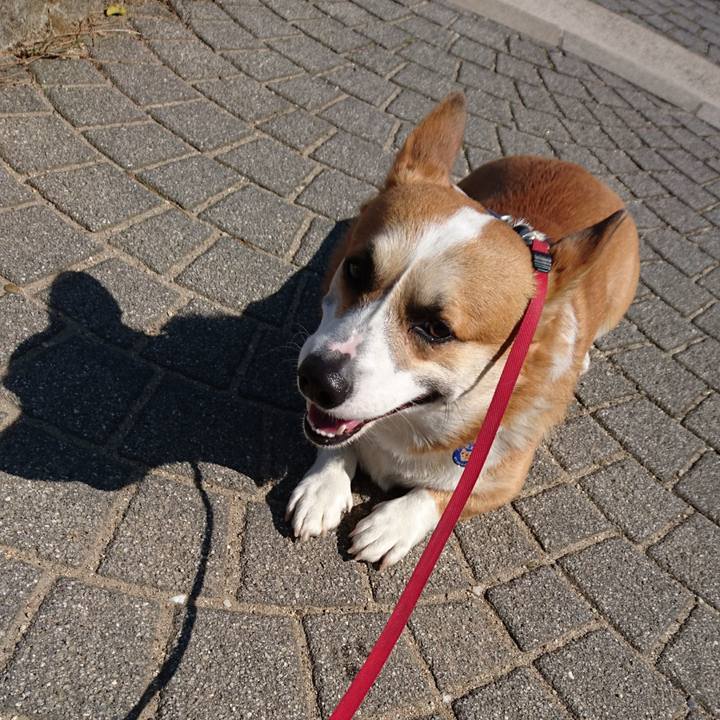 F172ffa1 e107 4910 8342 a593975a97d4 1615780187811