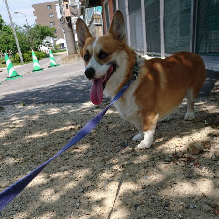 F1733c5d 9521 4aa4 a797 db8d8714b3ff 1590303471466