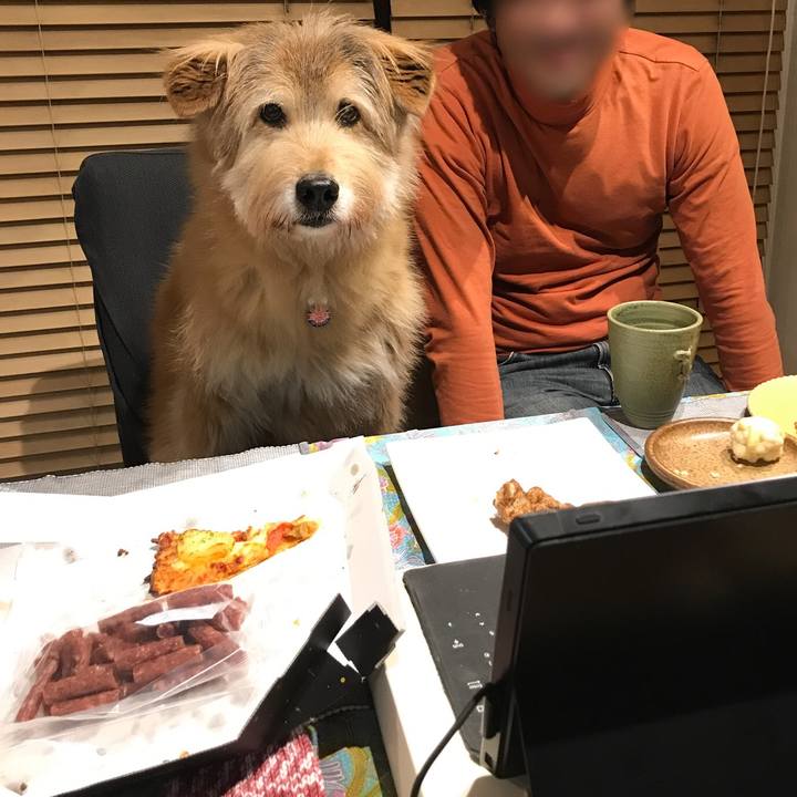 F1734849 a41c 4975 bcc2 01fdfca7bf1c 1612778941195