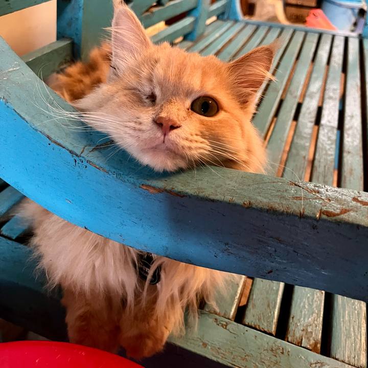 F1736bc8 fbe2 43fe 9c1f 2bc76f1864d0 1763507299804