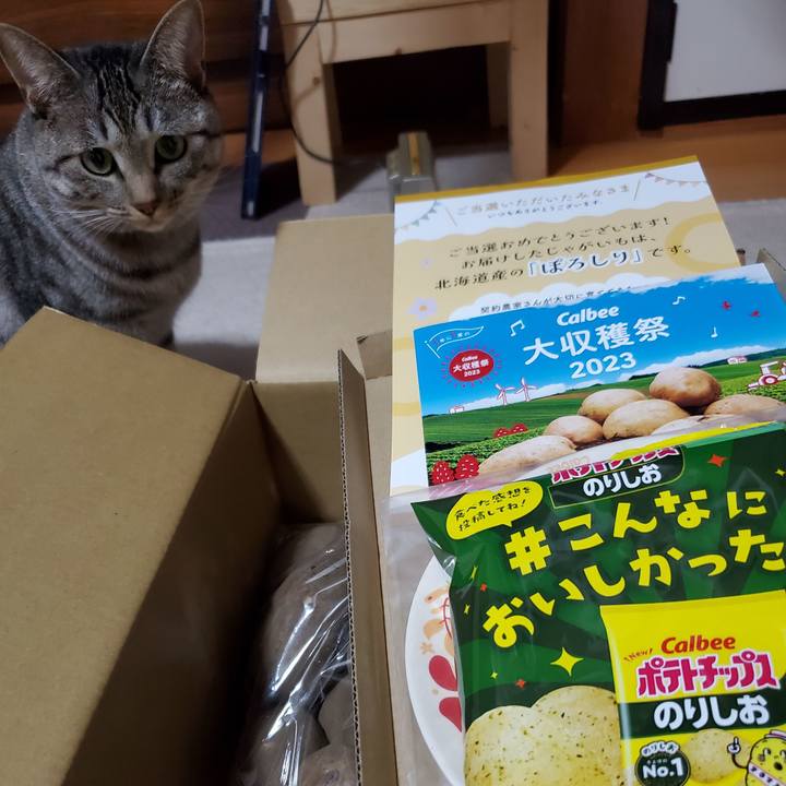 F1737948 5aa7 42b5 852a e3c9f3aa52e1 1699687370289