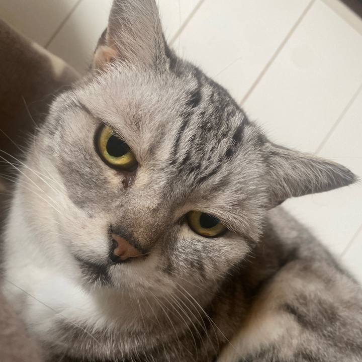 F1738c80 055b 4318 9597 ab5a11af3916 1749680324293