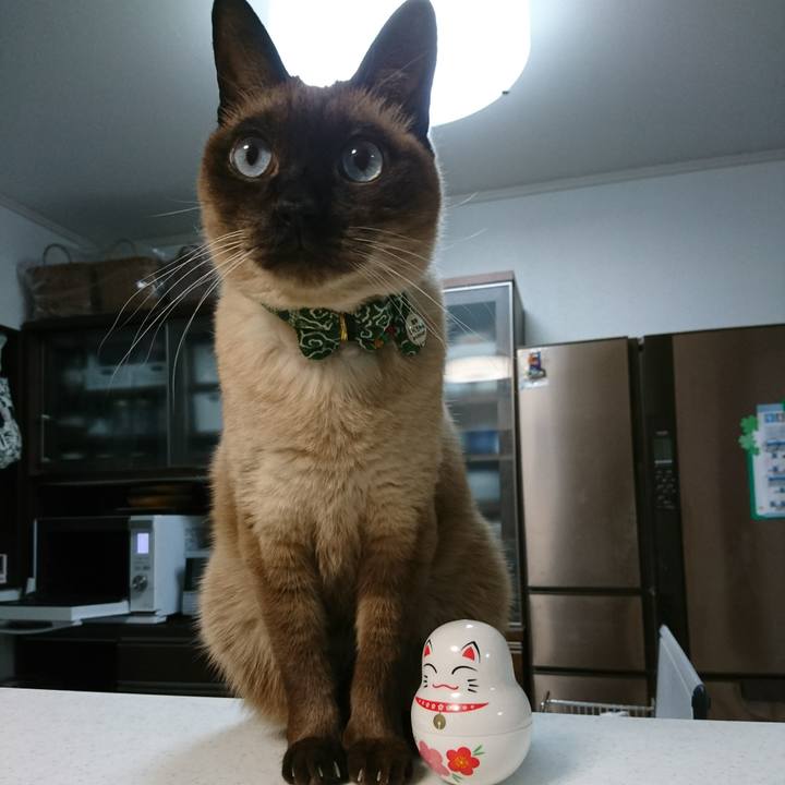 F173b56b 1d99 4679 8f78 382d2dde5f82 1512643167666