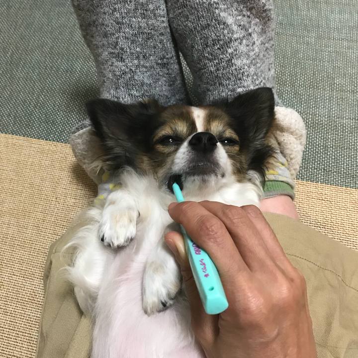 F173c93b 12ce 4d02 bc30 1761fa2c6b1c 1509026289106