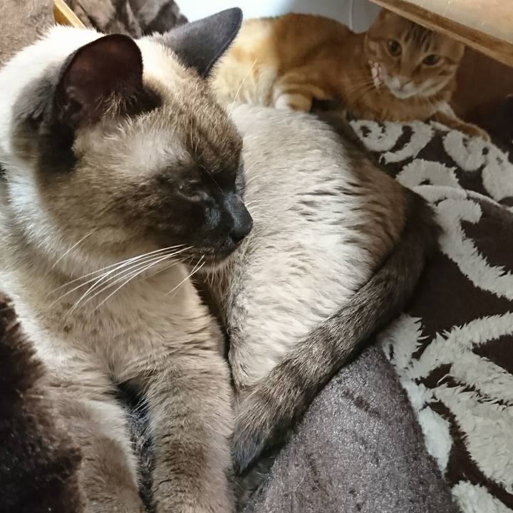 F173ca2c e34f 46a7 8aa7 e1908789bb35 1514084784157