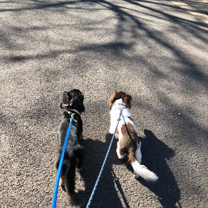 F173ec2b 4311 46c3 b182 84591fa7640a 1553386138342