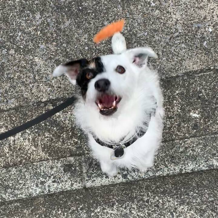 F173f13d 33c7 4a29 8a49 ca35f15d1a5a 1717660616730