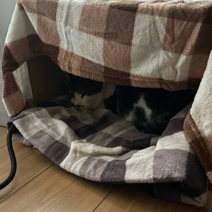 F1740f79 6087 4125 b9d3 e1896b4572f8 1732079751111