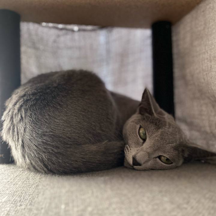 F17468b9 81ea 4e5c 9563 4c1df93cdf8b 1667713893342