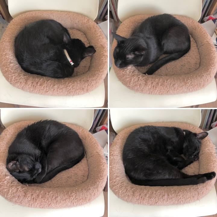 F17483c6 49e7 498e a8f2 4bc97021d1e9 1621084899041