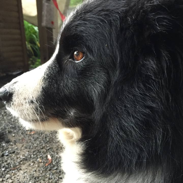 F1748721 6003 4b5c 8e72 a49f8ec24632 1525656862354