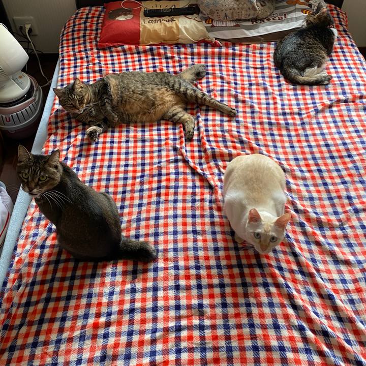 F17488ef 6a1c 4518 b794 1157da32c2c5 1635043488508