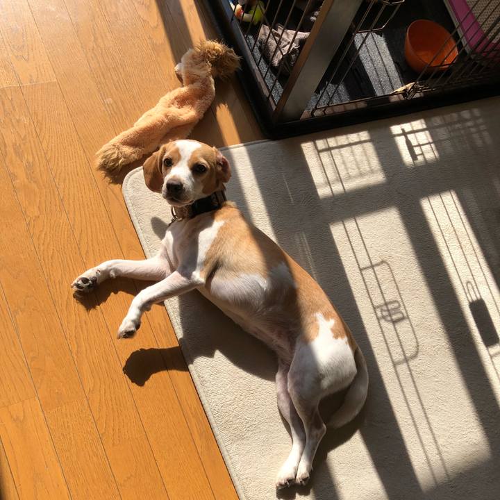 F1749f0e f106 4d3c a917 1dbc81ab4ea5 1637189090785