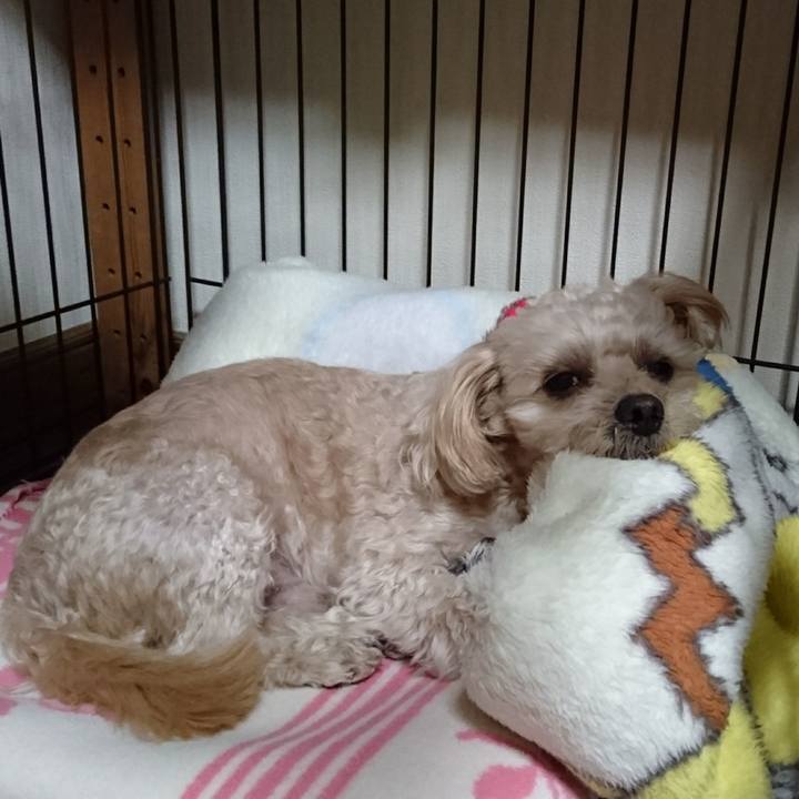 F1750cc3 f80d 438e 932f ac39a95f97a8 1606567126266