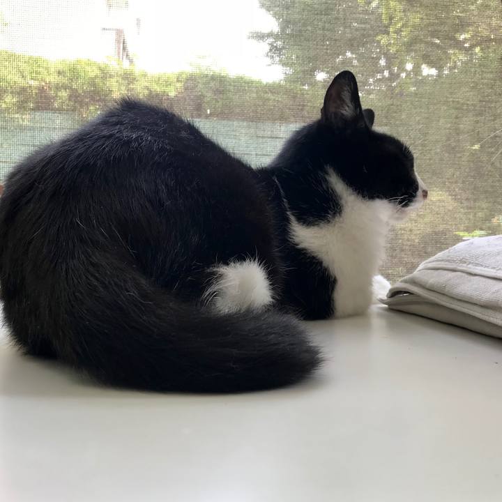 F17568ee 6be9 476d b454 644c022e84de 1526628441882