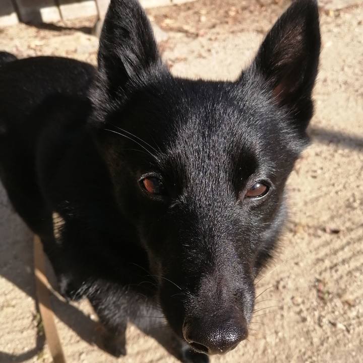 F1757a6c af12 40cb 8ee4 a2058c83f790 1605397665631