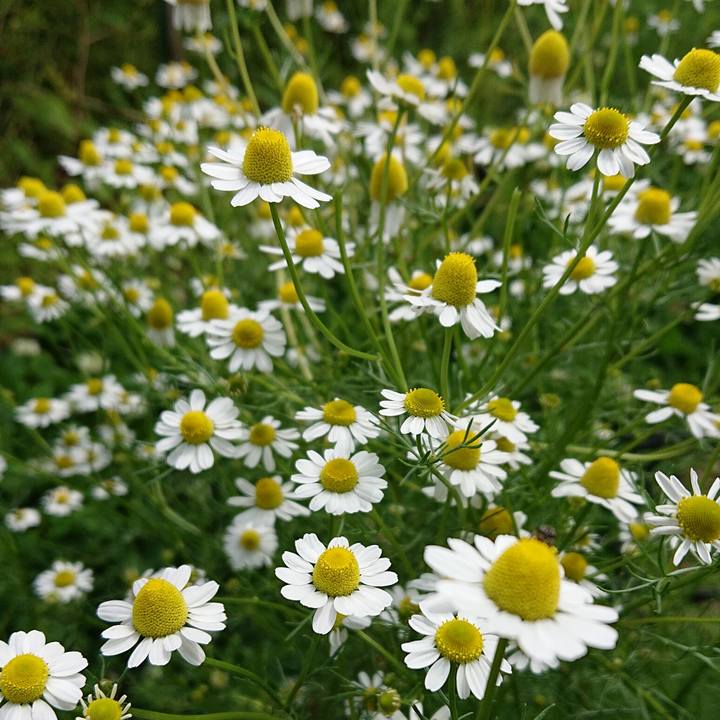 F1758055 c9b7 4371 b787 5f901ef2e186 1619836779646