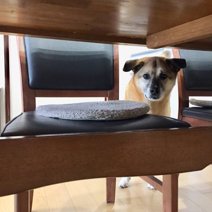 F175a2c3 76c4 4b5a 8295 53d11c187af8 1521675903436