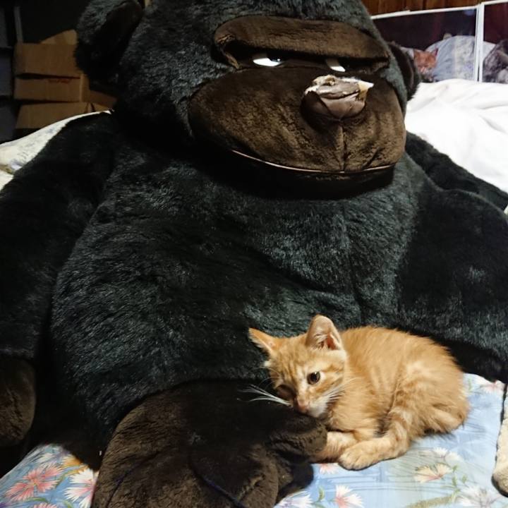 F175d0bd 343e 4ded 8559 a80deca85b51 1627820429836