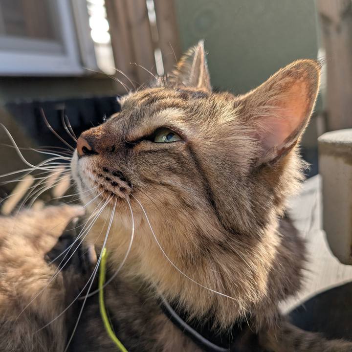 F175d198 a3bf 4a21 ad1e 5fbe33fb23a8 1768606455512