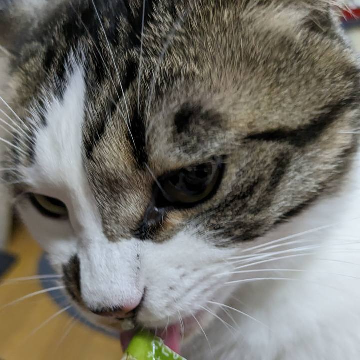 F175e7fe c725 47fb a32d 415a6effe193 1680781963016