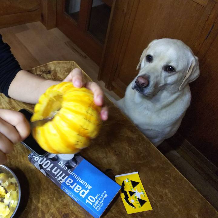 F175fac0 f125 4cfa 9761 de915b24718b 1540900943294